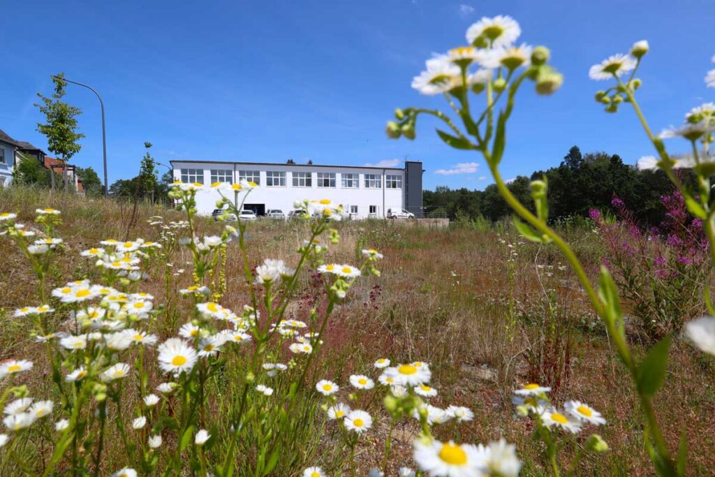 Erneuerbare Energie bei Wikutec